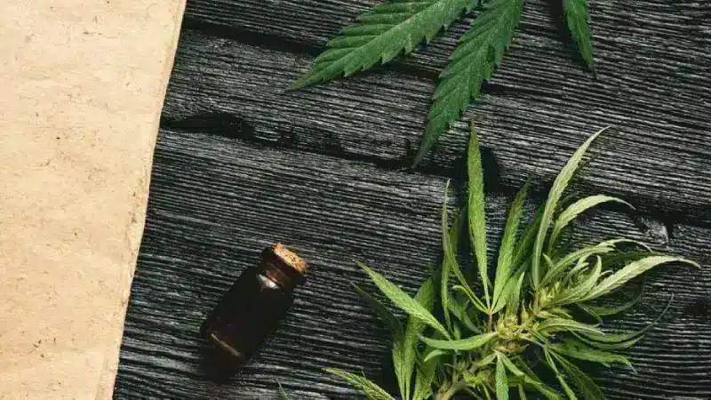 simple guide to buy cbd online