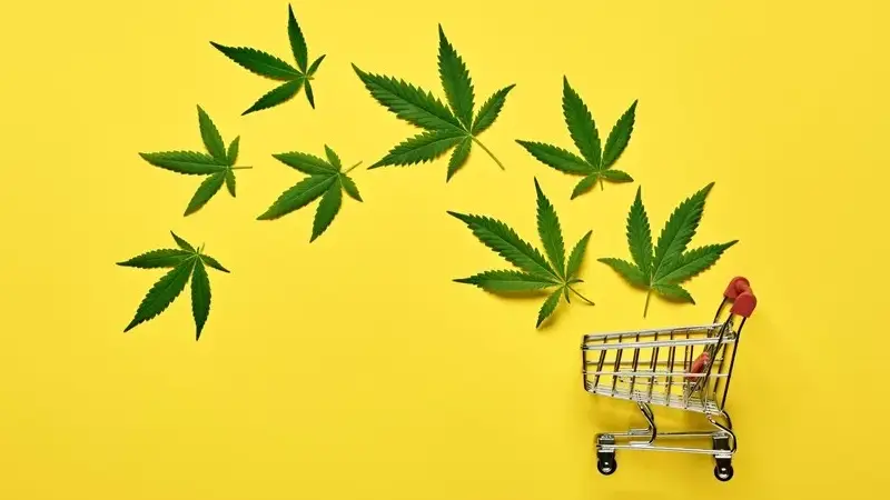 cannabis iand a cart to buy cbd online