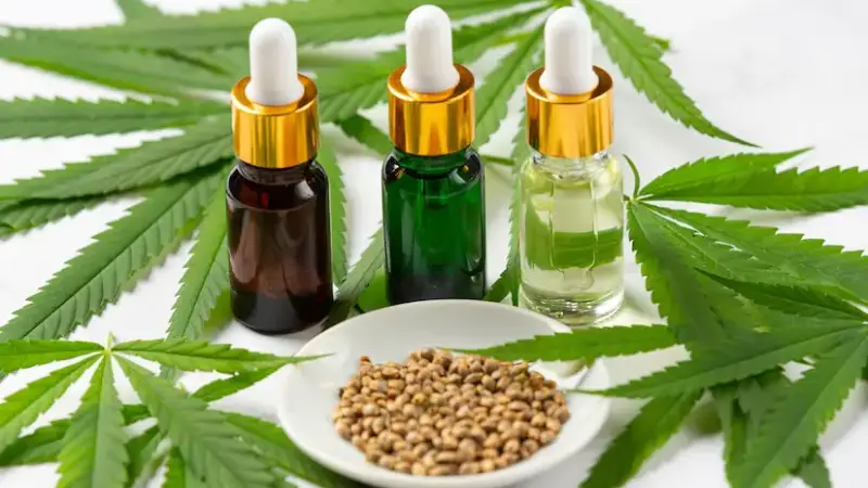 cannabis leaves and cbd oil